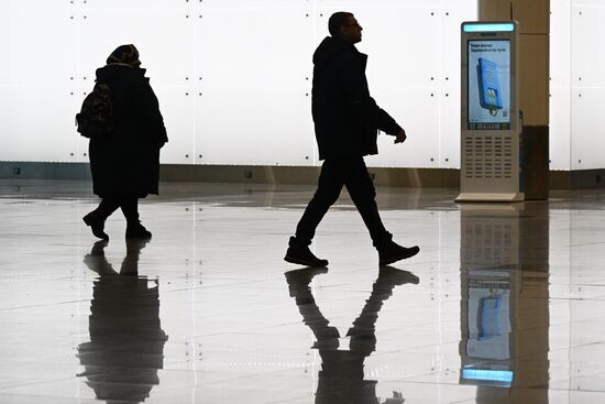 Russia Domodedovo Airport Privatization Probe