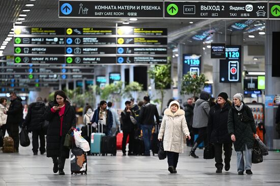 Russia Domodedovo Airport Privatization Probe