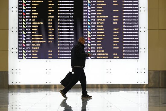 Russia Domodedovo Airport Privatization Probe