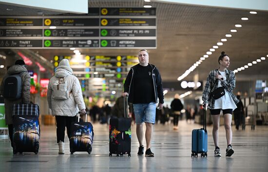 Russia Domodedovo Airport Privatization Probe