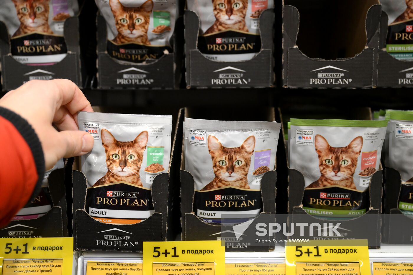 Russia EU Animal Products Imports Ban