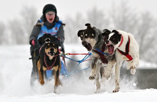 Russia Sled Dog Race