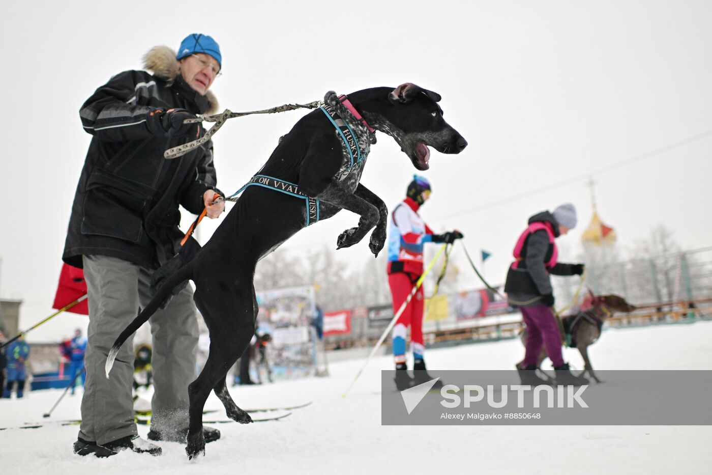 Russia Sled Dog Race