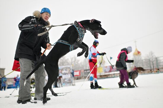 Russia Sled Dog Race