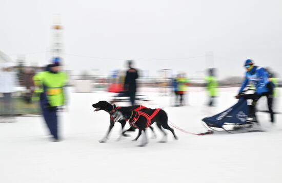 Russia Sled Dog Race
