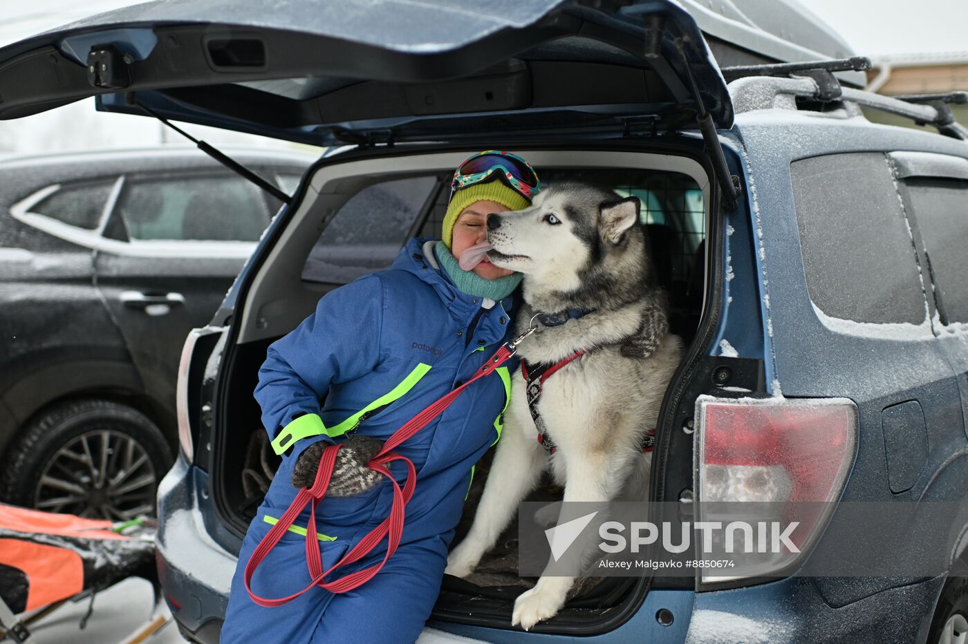 Russia Sled Dog Race
