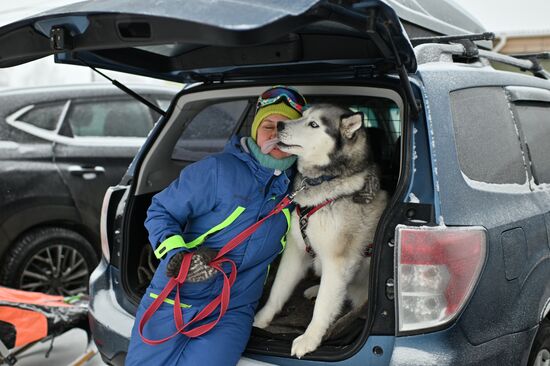 Russia Sled Dog Race