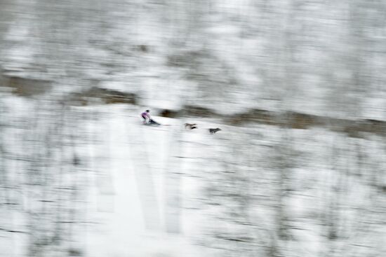 Russia Sled Dog Race