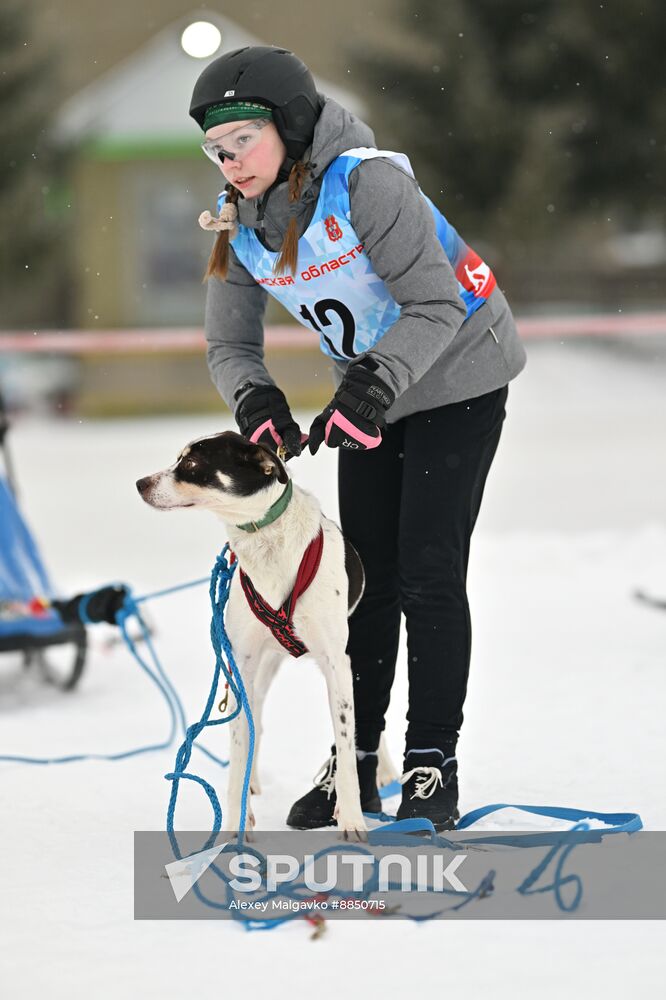 Russia Sled Dog Race