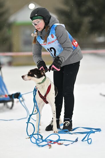 Russia Sled Dog Race