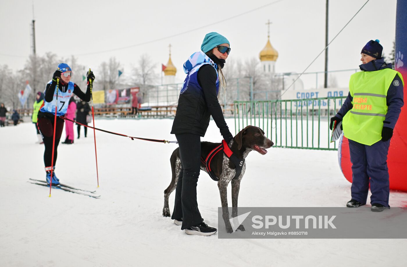 Russia Sled Dog Race