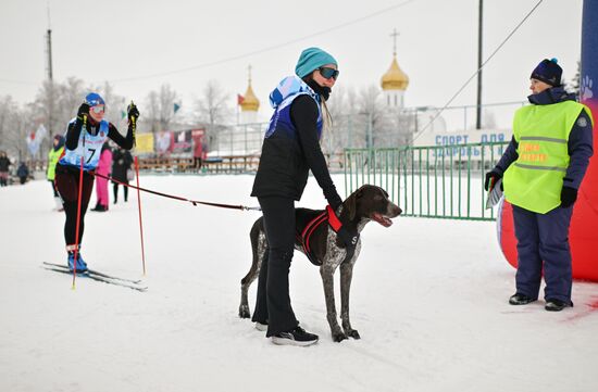 Russia Sled Dog Race