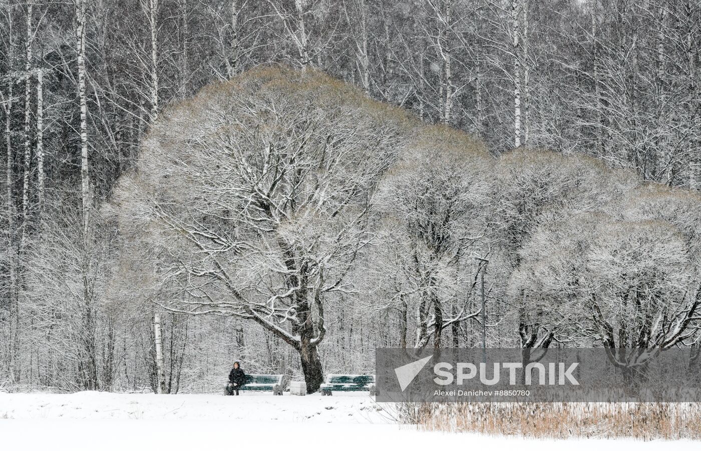 Russia Daily Life