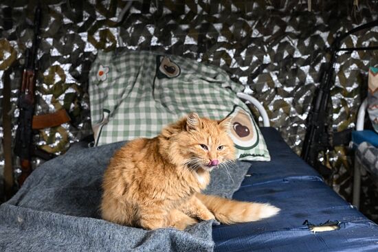 Russia Ukraine Kursk Attack Akhmat Special Forces