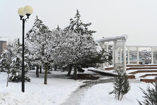Russia Weather