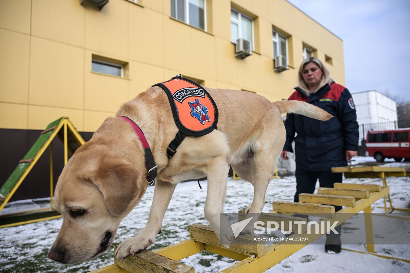 Russia Rescue Dogs Training