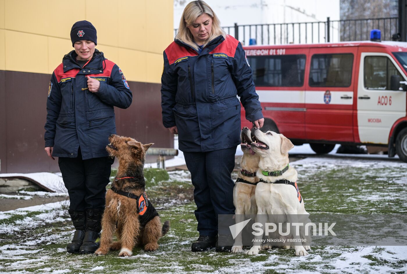 Russia Rescue Dogs Training