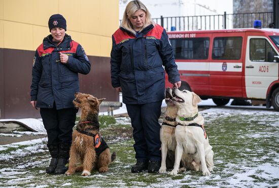 Russia Rescue Dogs Training