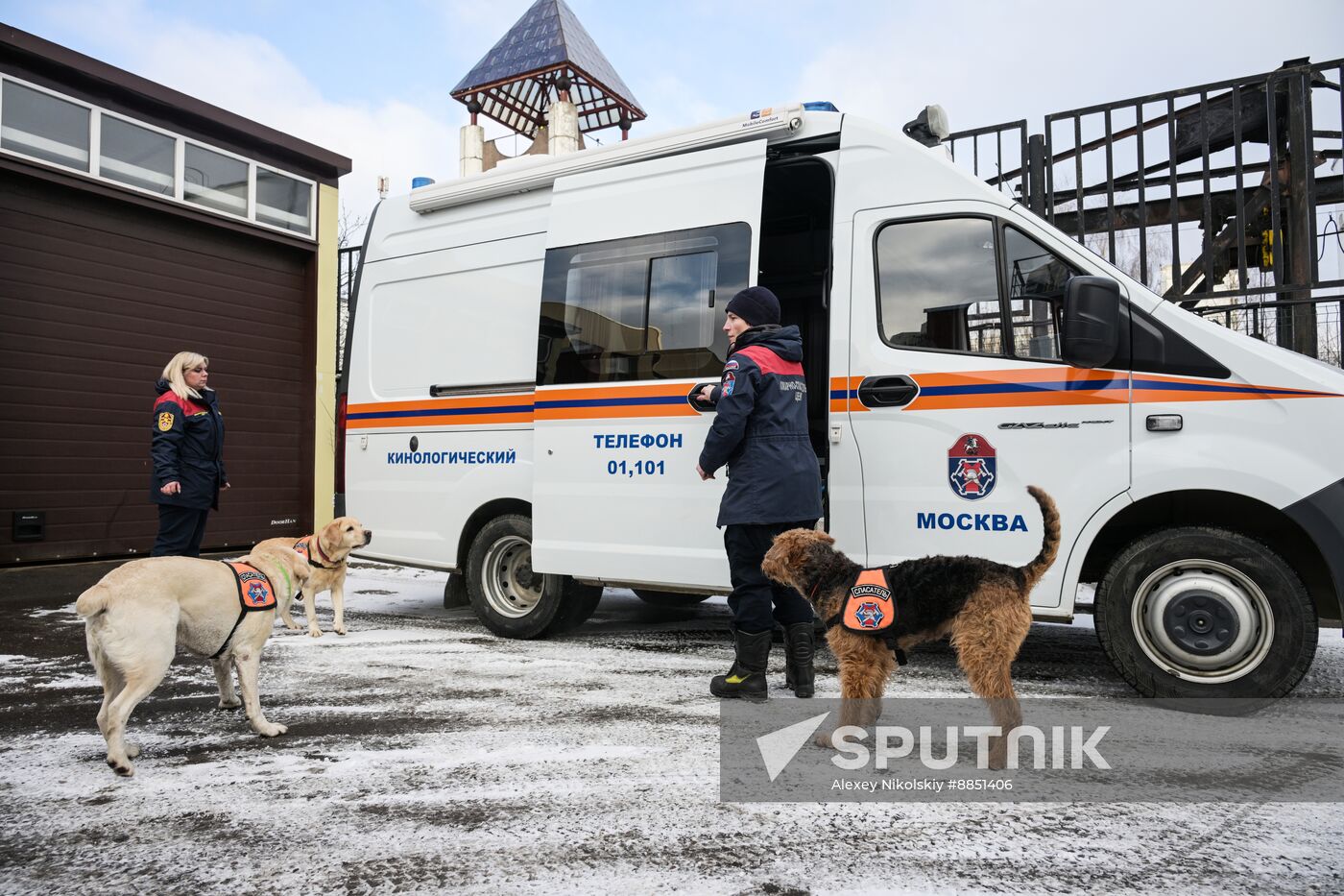 Russia Rescue Dogs Training