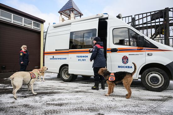 Russia Rescue Dogs Training