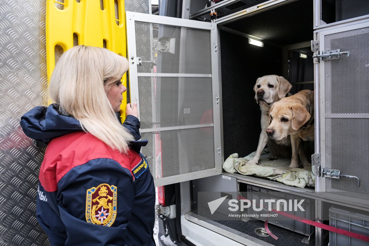 Russia Rescue Dogs Training