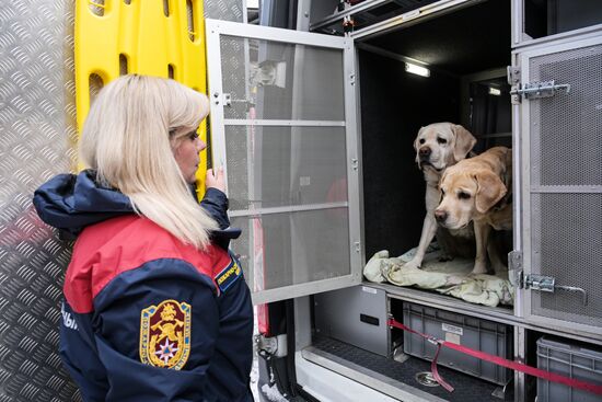 Russia Rescue Dogs Training