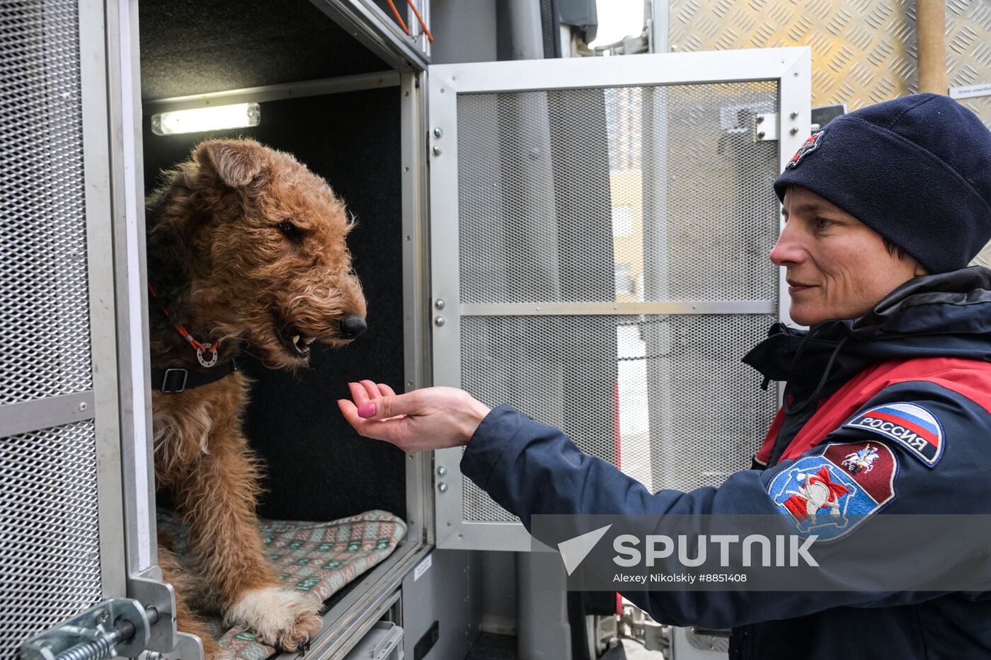 Russia Rescue Dogs Training