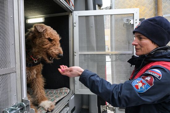 Russia Rescue Dogs Training