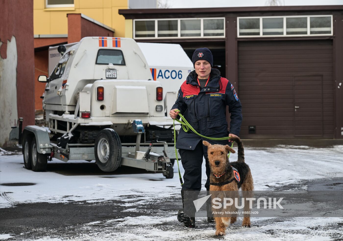 Russia Rescue Dogs Training