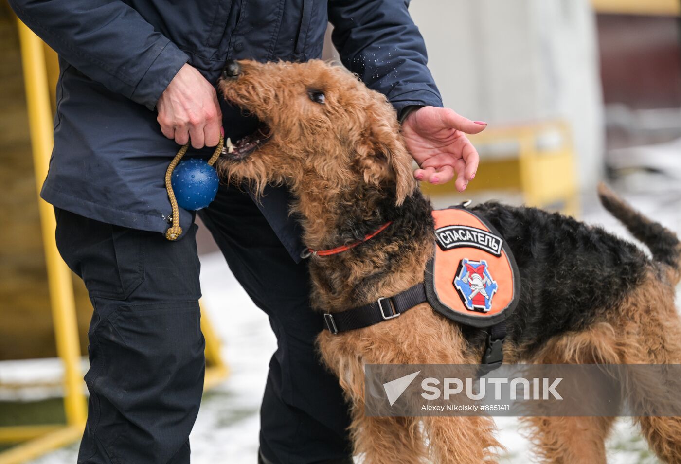 Russia Rescue Dogs Training