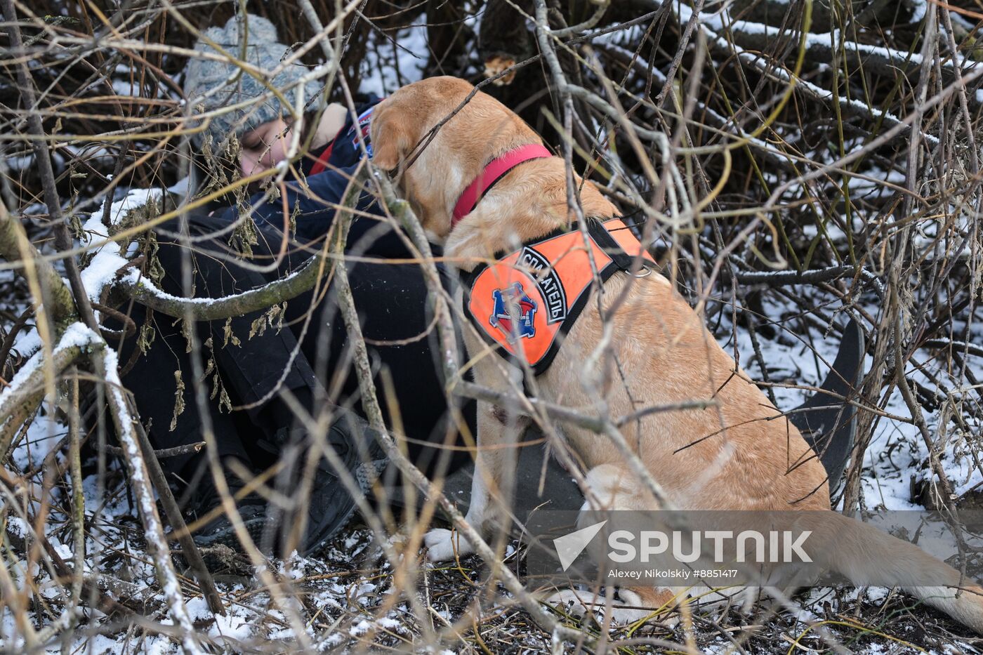Russia Rescue Dogs Training