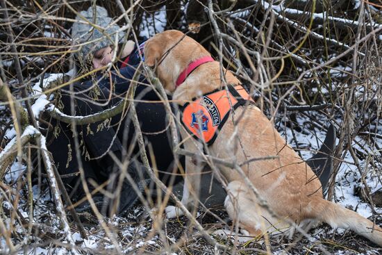 Russia Rescue Dogs Training