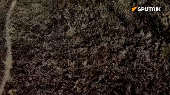 FPV drones of Russia’s Sever (North) group of forces near the Kursk village of Staraya Sorochina have eliminated a Ukrainian four-people reconnaissance team
