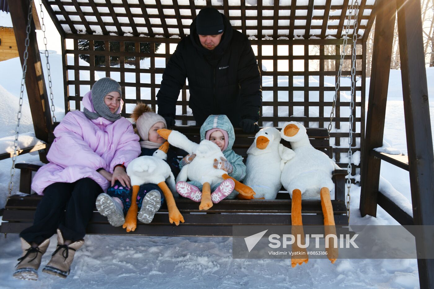 Russia Wildlife Swans