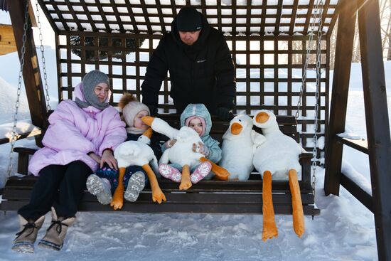 Russia Wildlife Swans