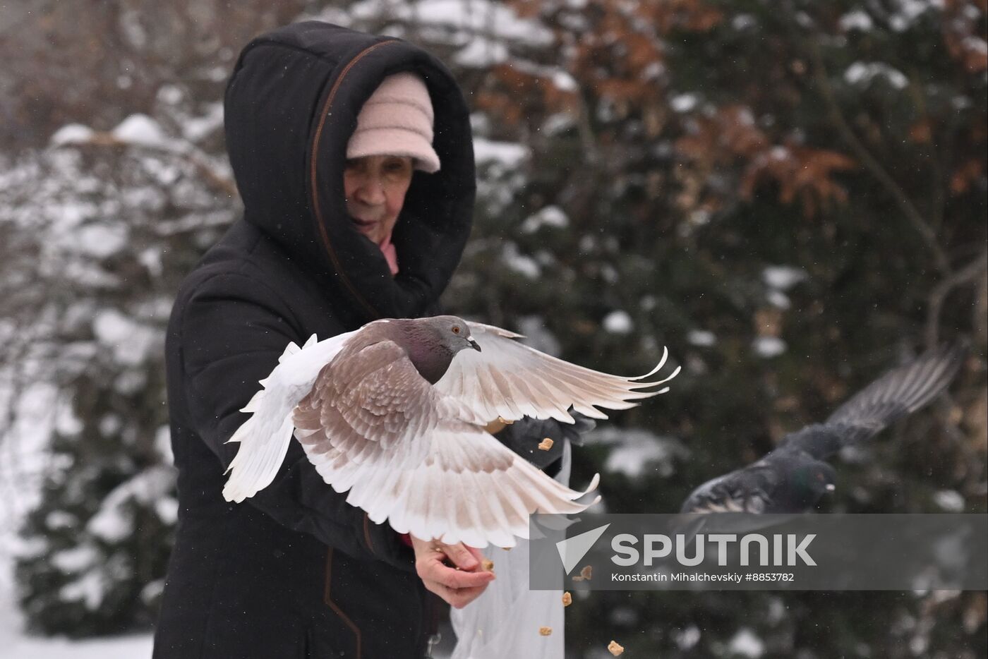 Russia Weather