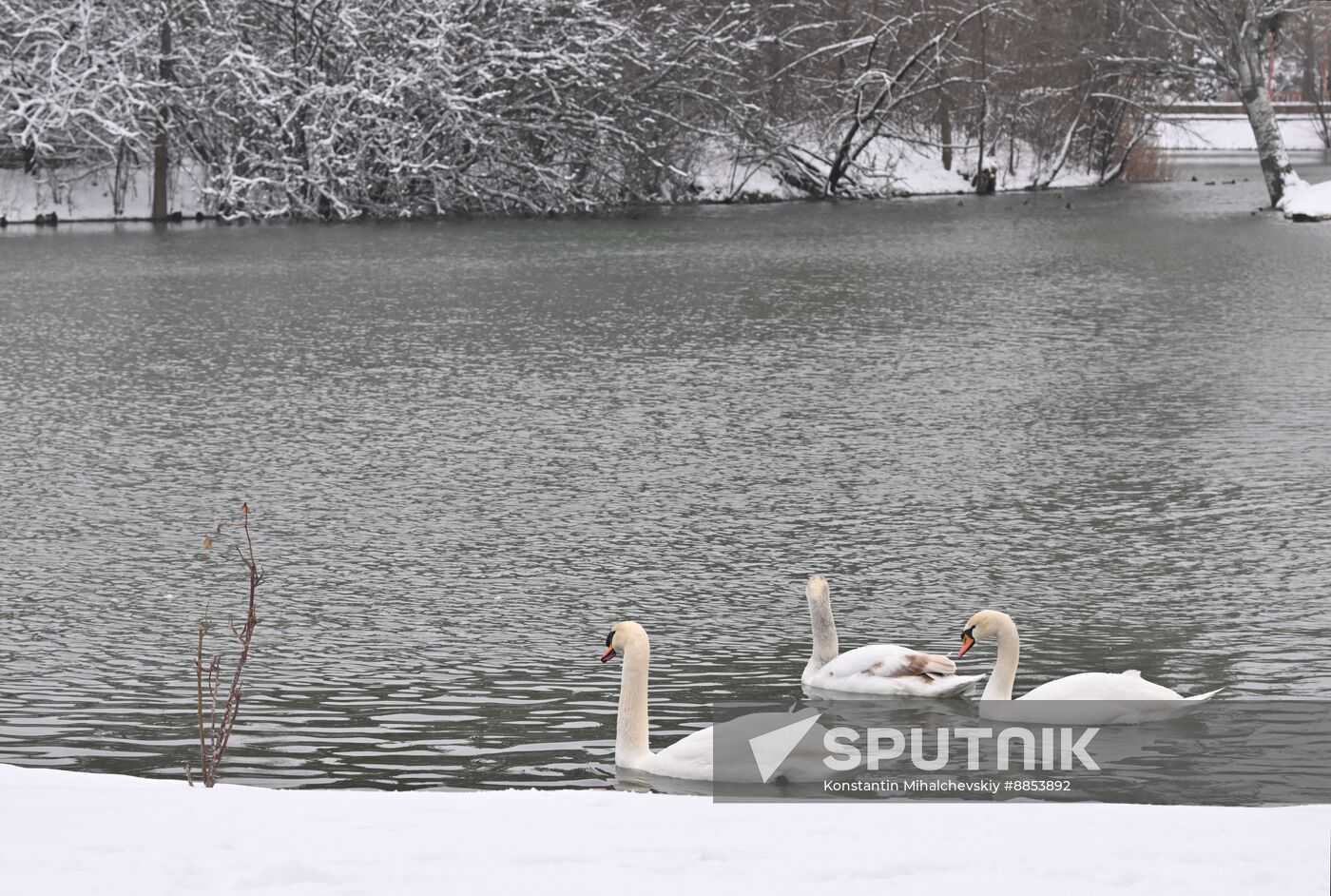 Russia Weather