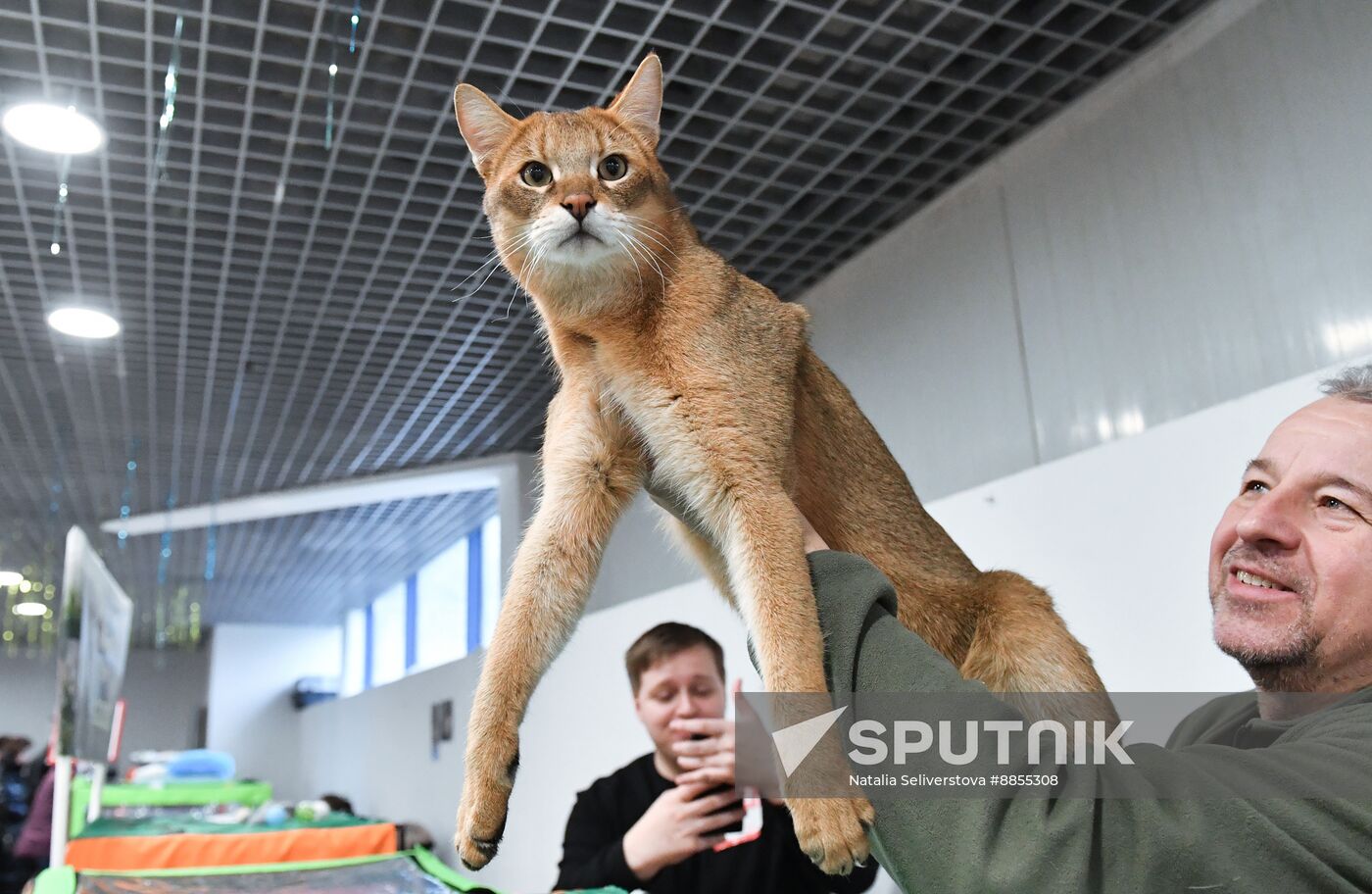 Russia Cat Show