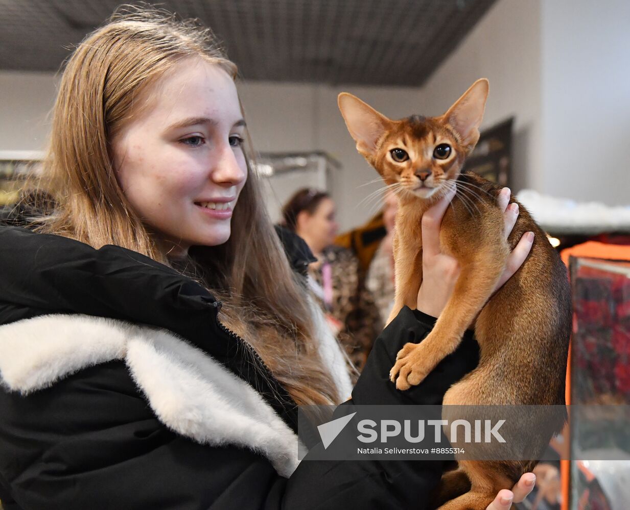 Russia Cat Show