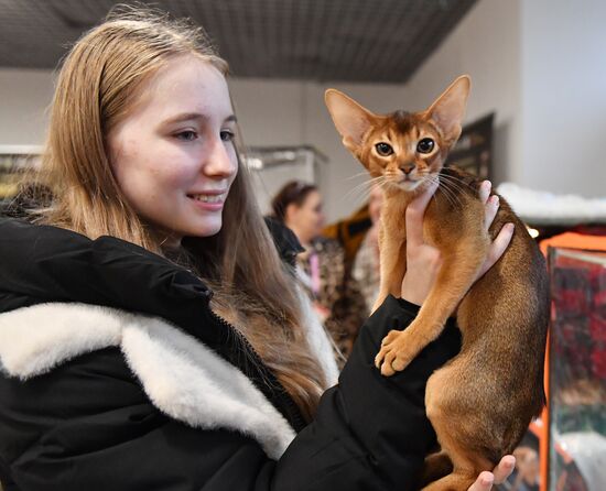 Russia Cat Show