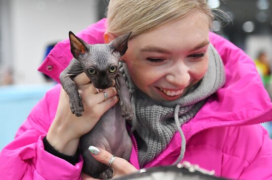 Russia Cat Show