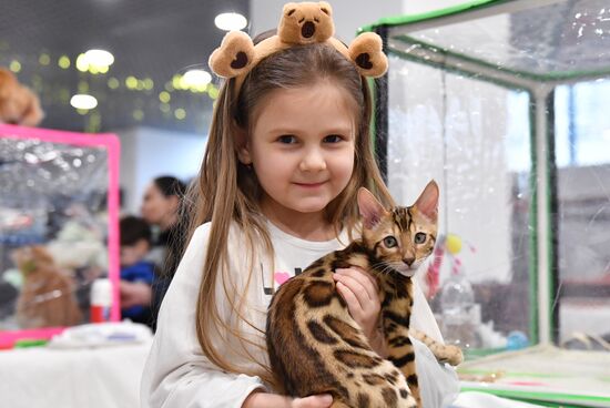 Russia Cat Show