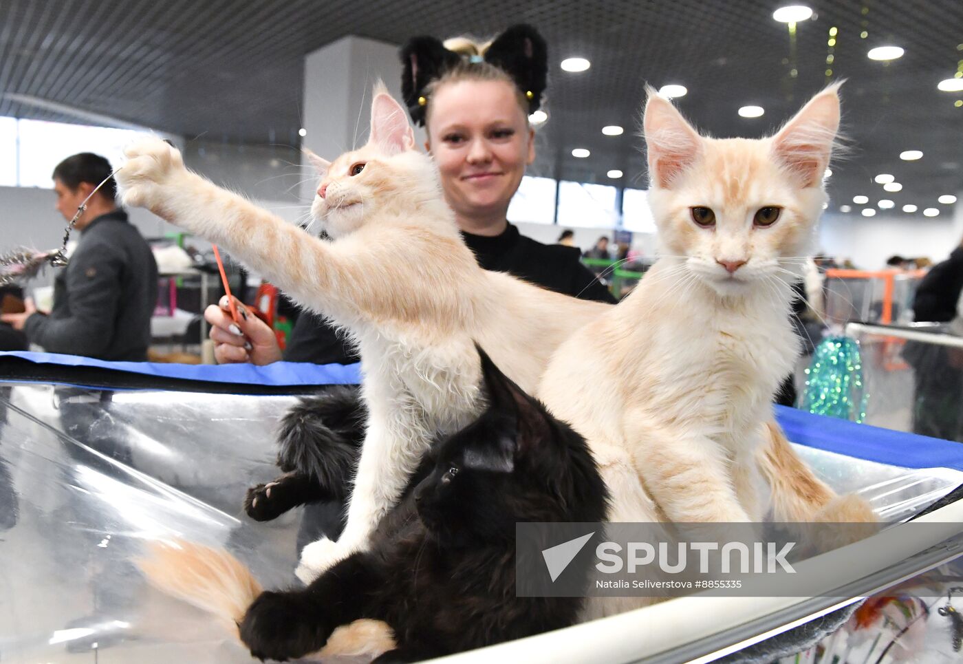 Russia Cat Show