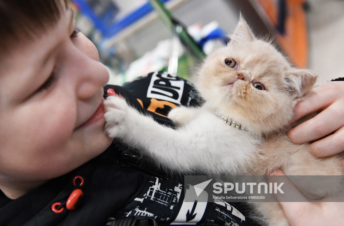 Russia Cat Show