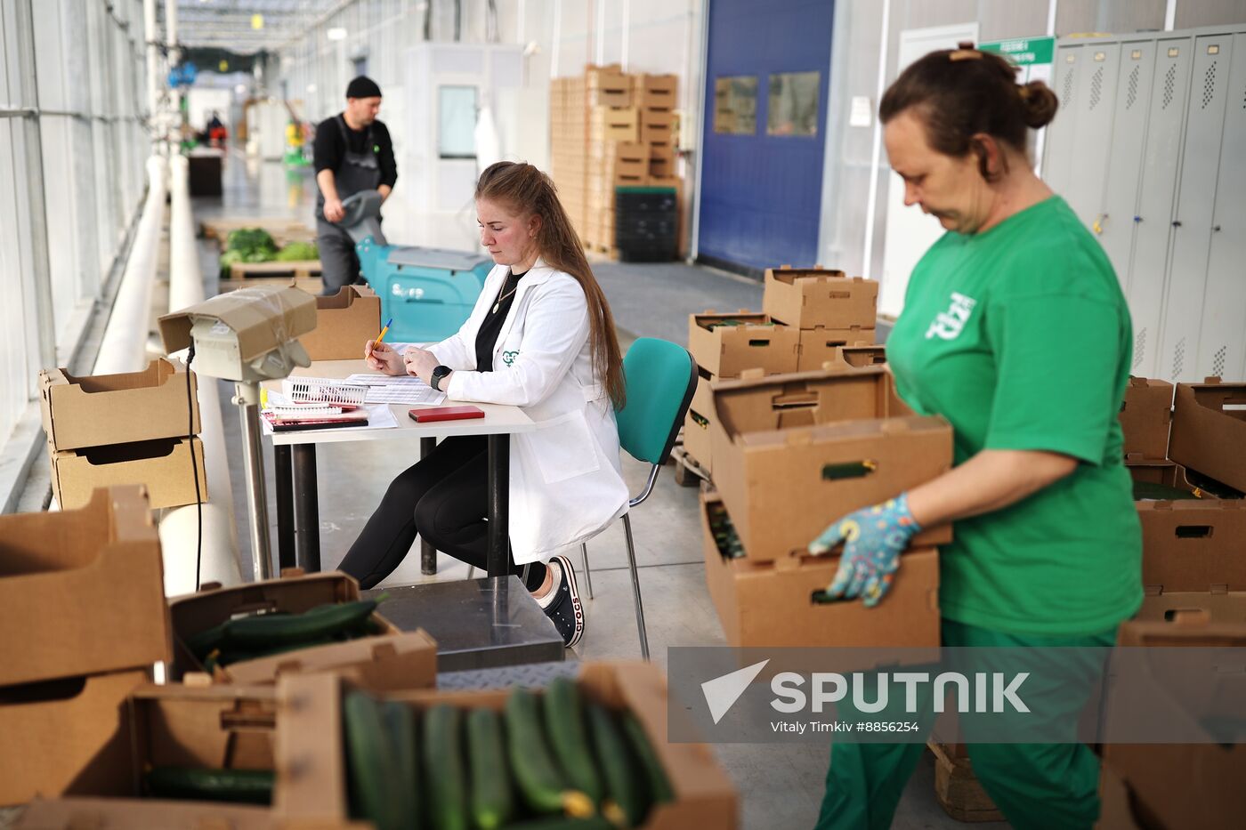 Russia Agriculture Vegetables Growing