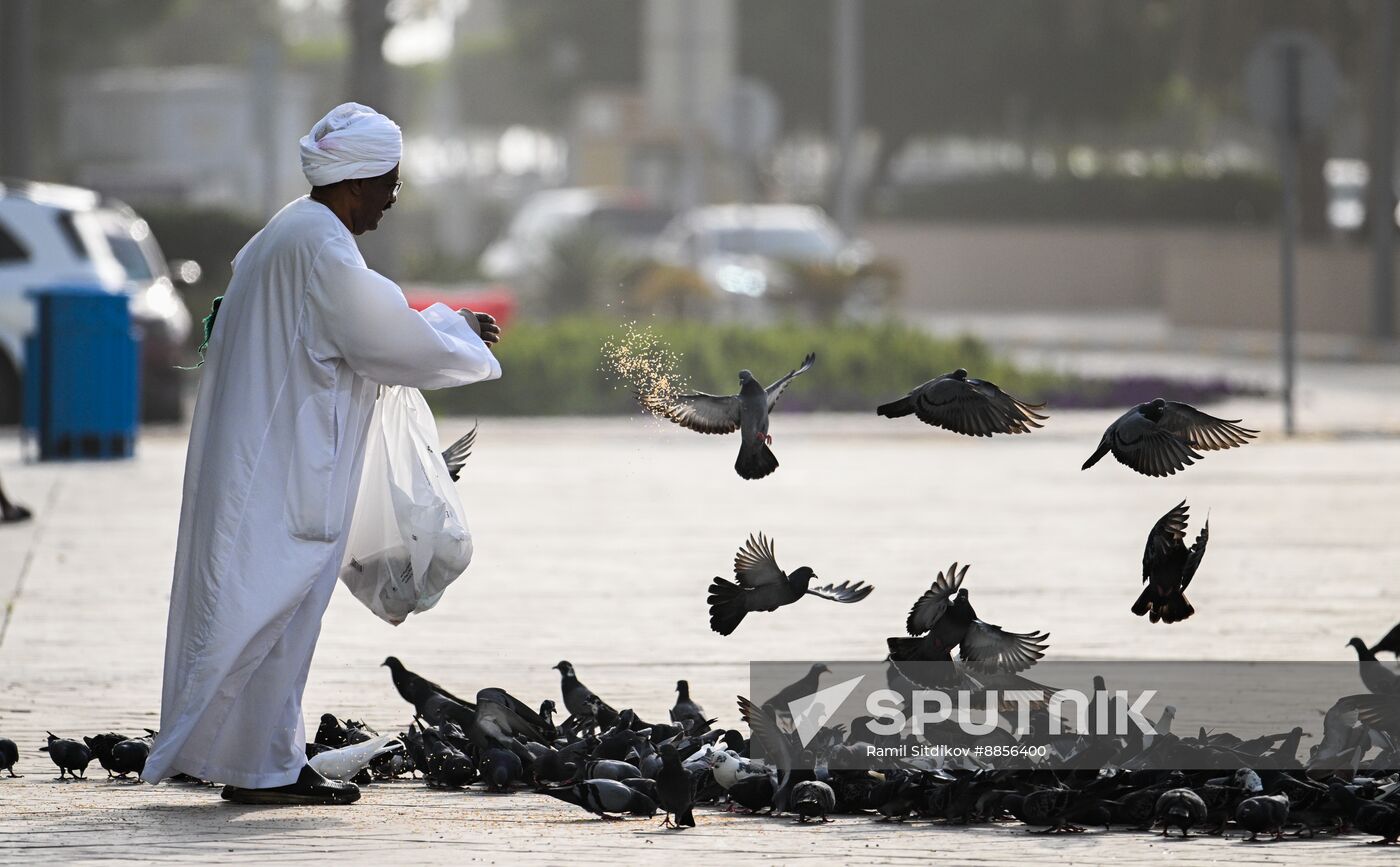 UAE Daily Life