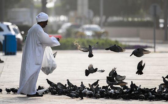 UAE Daily Life