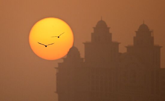 UAE Daily Life