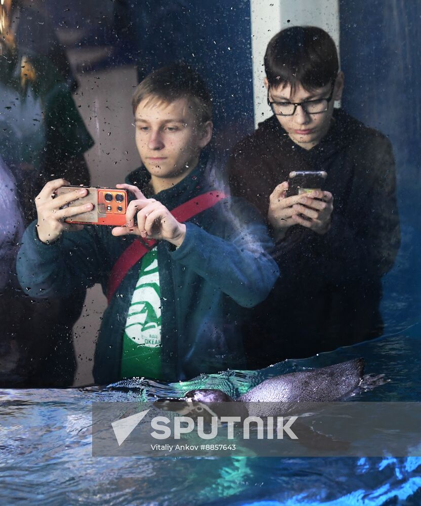 Russia Primorsky Aquarium Penguins