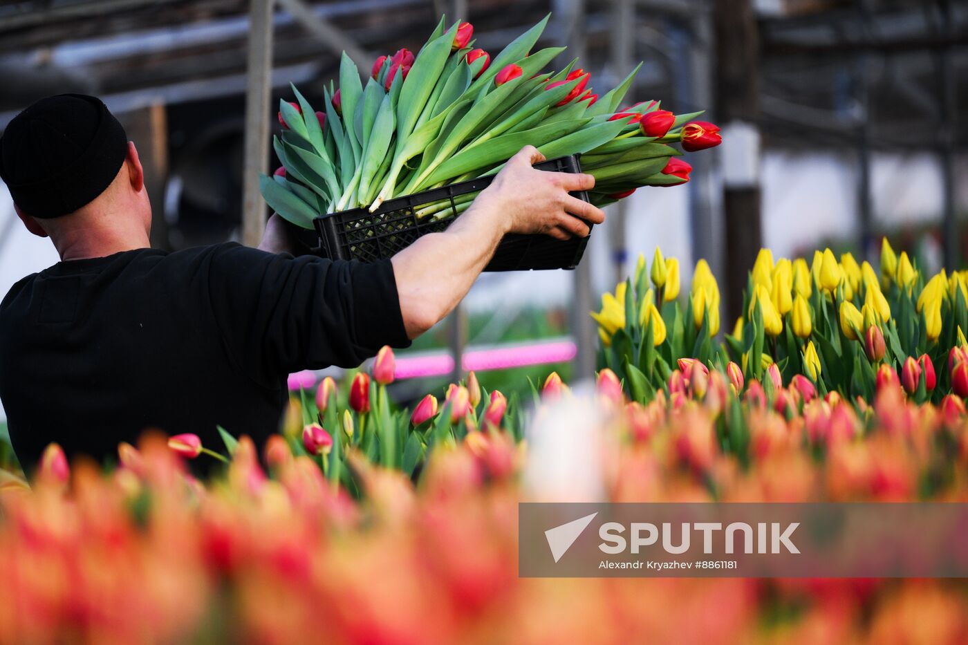 Russia Flower Growing